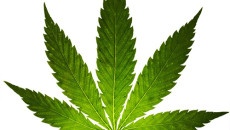 Legalizare marijuana Romania