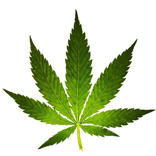 Legalizare marijuana Romania